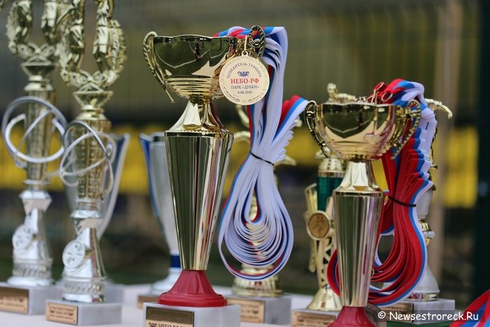 В Сестрорецке прошел турнир по мини-футболу "Небо-РФ"
