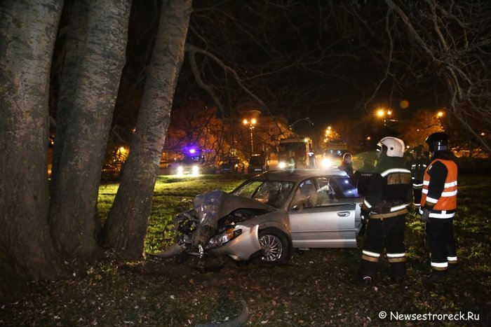 В Сестрорецке автомобиль «Субару» врезался в дерево