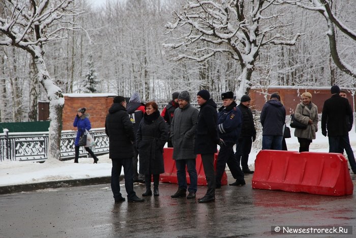 В Сестрорецке открыли мост через реку Малая Сестра В Сестрорецке открыли мост через реку Малая Сестра