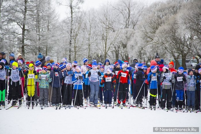 В Сестрорецке прошла юбилейная 35-ая массовая гонка «Лыжня России»