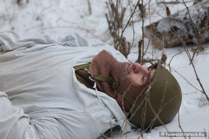 В Сестрорецке прошел военно-исторический фестиваль «Западный фронт» В Сестрорецке прошел военно-исторический фестиваль «Западный фронт»