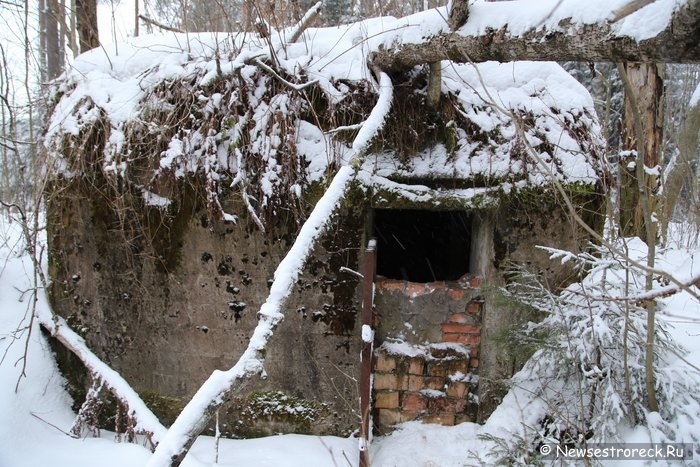 ДОТ АПК-1 «Слон» на «Сестрорецком рубеже» не опасен для посещений