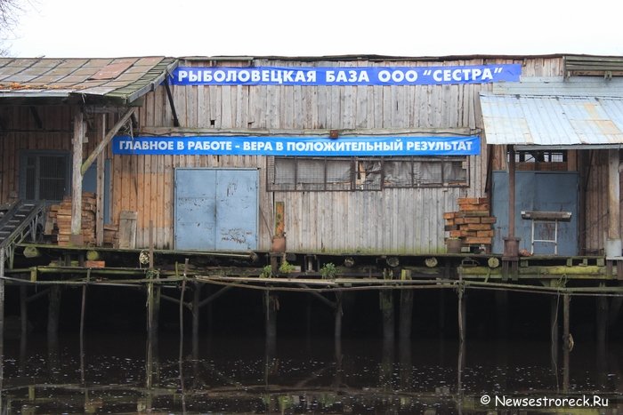 Рыббазу в Сестрорецке продадут под строительство дач