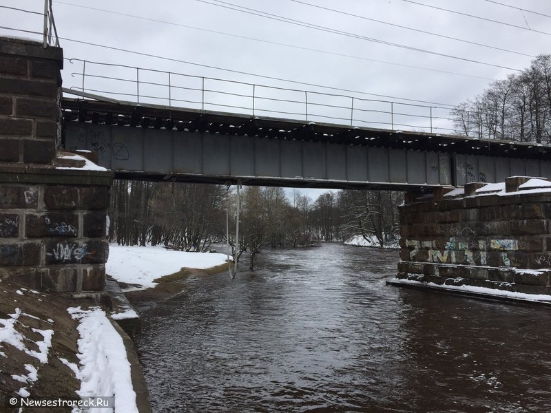 Под мостом сделали качели из пожарного рукава