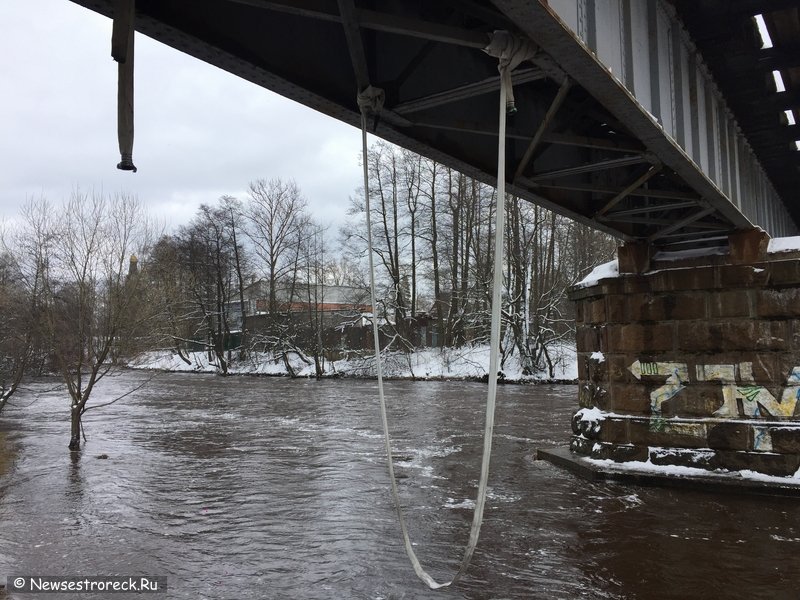 Под мостом сделали качели из пожарного рукава Под мостом сделали качели из пожарного рукава