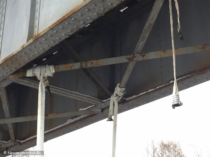 Под мостом сделали качели из пожарного рукава Под мостом сделали качели из пожарного рукава