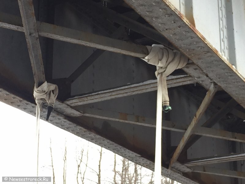Под мостом сделали качели из пожарного рукава Под мостом сделали качели из пожарного рукава