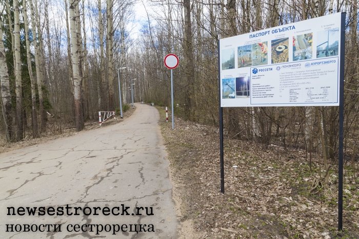 Компания «Ленэнерго» осветила дорогу к Шалашу Ленина