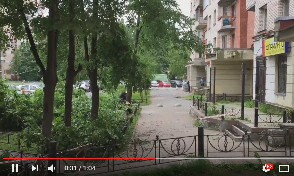 На Токарева спилили липу