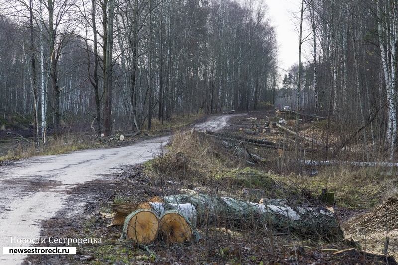 «Водоканал» расчищает территорию у «Ржавой канавы» для новой водопроводной станции «Водоканал» расчищает территорию у «Ржавой канавы» для новой водопроводной станции
