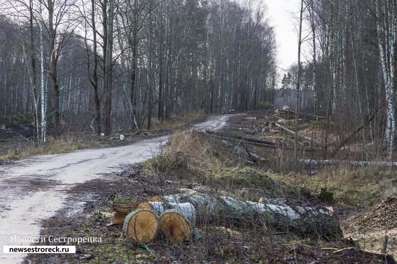 «Водоканал» расчищает территорию у «Ржавой канавы» для новой водопроводной станции