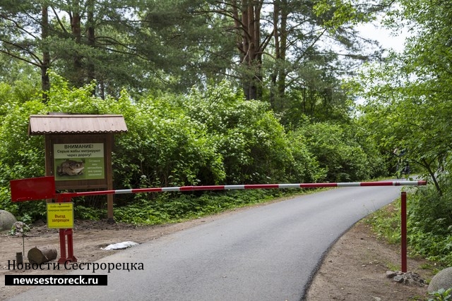 Власти хотят оставить шлагбаум на дороге на Глухое озеро в Сестрорецке 