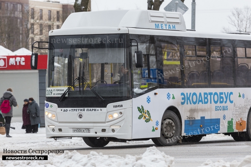 В Сестрорецке начали ходить "Экоавтобусы" - КАвЗ-4270