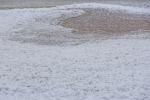 В Сестрорецке можно наблюдать уникальное природное явление - "Ледяные шары"