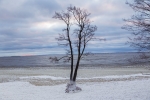 В Сестрорецке можно наблюдать уникальное природное явление - "Ледяные шары"