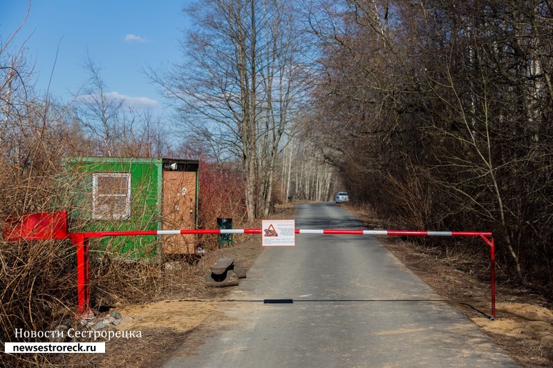 Въезд в заказник «Сестрорецкое болото» вновь перегородили шлагбаумом 