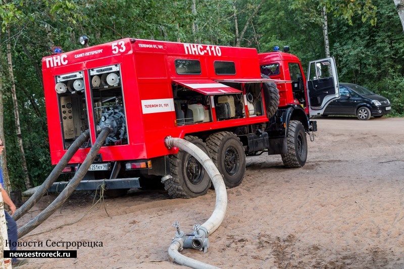 Под Сестрорецком горел лес на площади 1 гектар