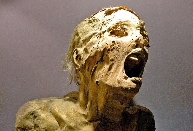 В Сестрорецке нашли женскую мумию