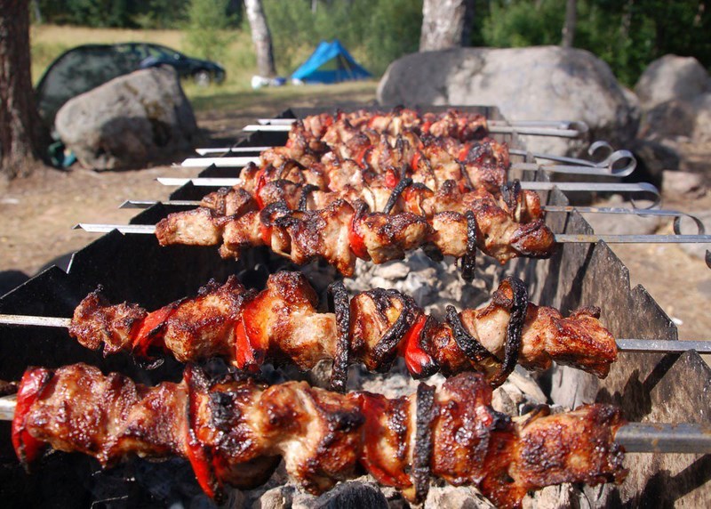На шашлыки – в Курортный лесопарк