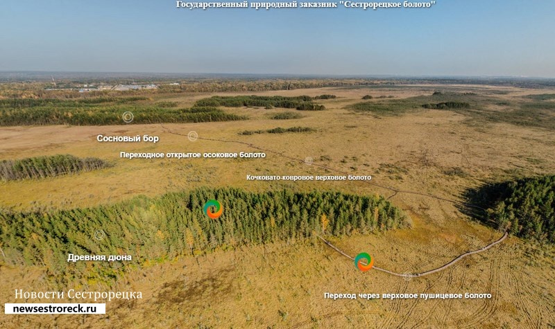 Появились 3D-туры по территориям государственного заказника «Сестрорецкое болото»
