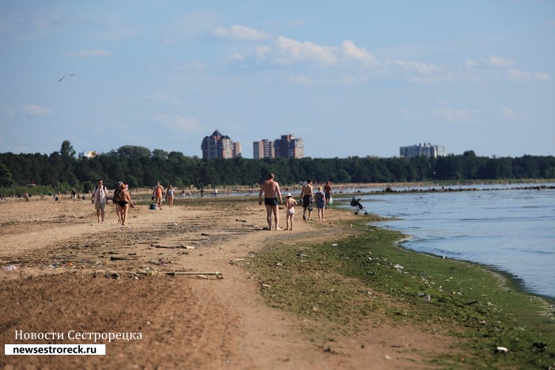 Ученые РАН объяснили, почему нельзя купаться на пляжах Курортного района