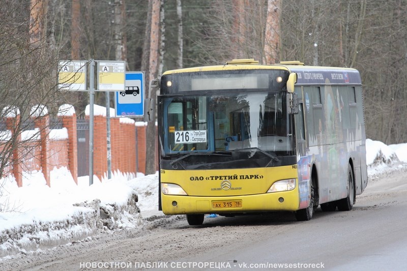 Новый автобус свяжет Сестрорецк с двумя линиями метро