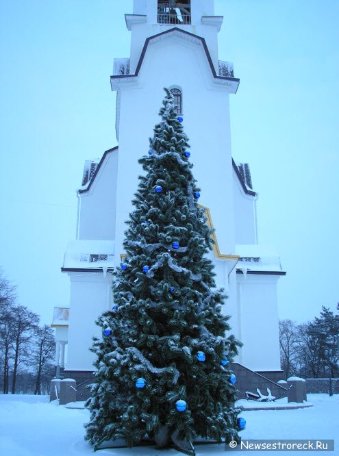 Установили новогоднюю елку у Храма. 