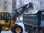 Прокуратура занялась уборкой снега в Сестрорецке