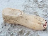 Из Финского залива вытащили человеческую ногу