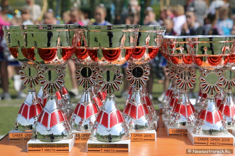 В Сестрорецке прошел открытый Кубок по черлидингу «CHEER OPEN - 2015»