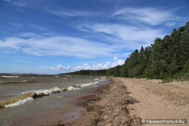 Через 50 лет Финский залив может размыть Приморское шоссе