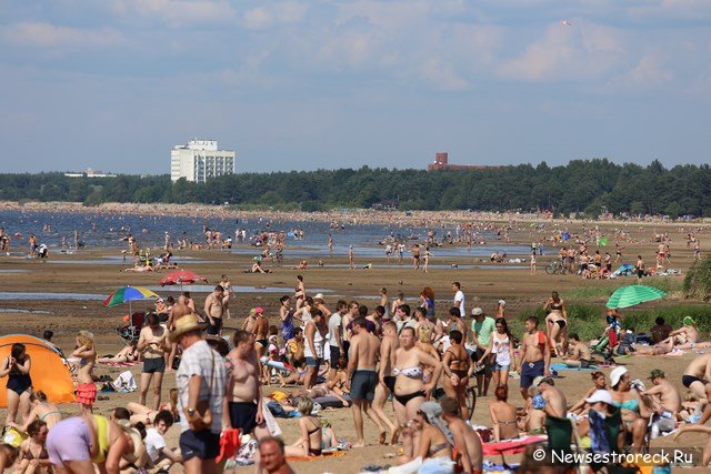 В Петербурге нашли один пляж с чистой водой