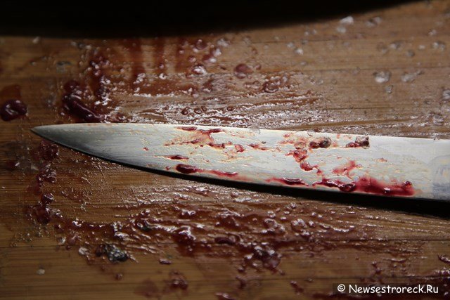 Житель Сестрорецка ударил жену кухонным ножом