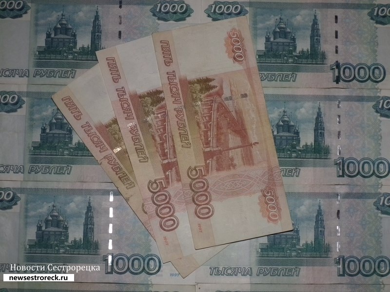 В Сестрорецке выявлено нецелевое использование 12,5 миллионов рублей