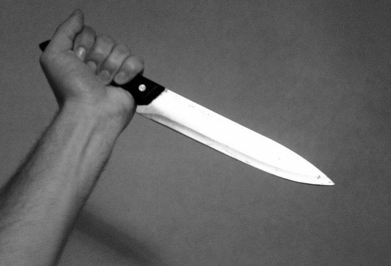 В Сестрорецке мать чуть не зарезала своего сына ножом во время ссоры
